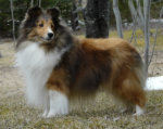Macey @ 9 yrs of age